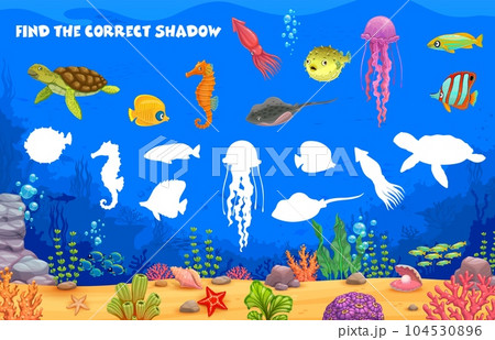 Find correct shadow of cartoon sea underwater animals and fish, vector puzzle quiz for kids. Shadow match game worksheet with undersea silhouette of turtle, jellyfish and seahorse with squid and fish 104530896