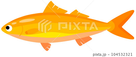 ハワイチビキ 104532321