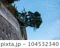 小豆島／香川県小豆島町 104532340