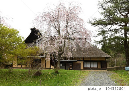 春の遠野ふるさと村 春の遠野ふるさと村 104532804