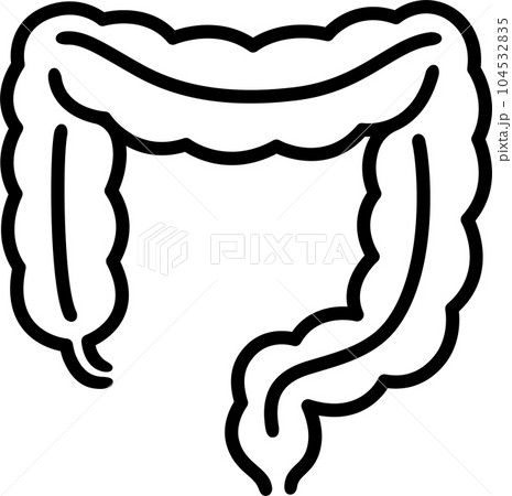 Colon intestine line icon 104532835