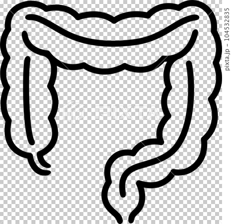 Colon intestine line icon 104532835