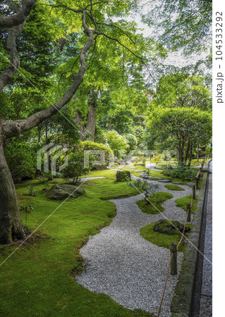 報国寺（鎌倉市）山門から見る庭園 104533292