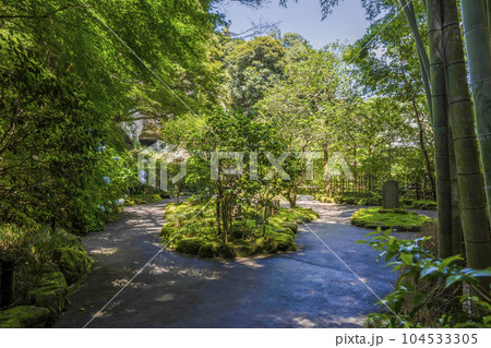 報国寺（鎌倉市）境内 104533305