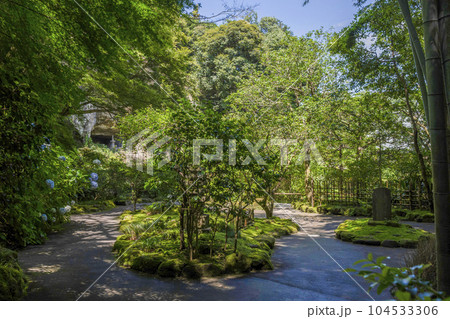 報国寺（鎌倉市）境内 104533306