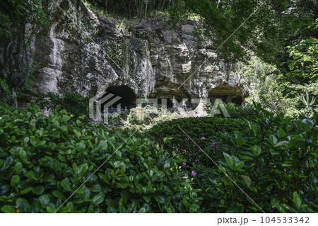 報国寺(鎌倉市)やぐら 報国寺(鎌倉市)やぐら 104533342
