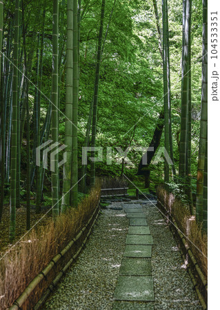 報国寺(鎌倉市)竹の庭 報国寺(鎌倉市)竹の庭 104533351