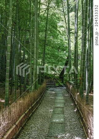 報国寺(鎌倉市)竹の庭 報国寺(鎌倉市)竹の庭 104533352