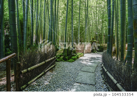 報国寺（鎌倉市）竹の庭 104533354