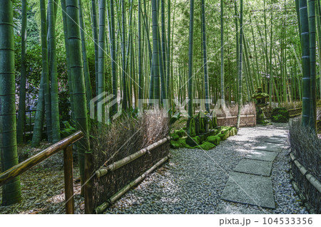 報国寺（鎌倉市）苔生す石仏 104533356