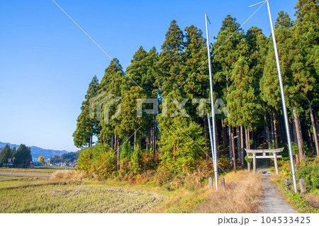 晩秋の南魚沼 鎮守の森風景 秋景色 新潟県南魚沼市 晩秋の南魚沼 鎮守の森風景 秋景色 新潟県南魚沼市 104533425