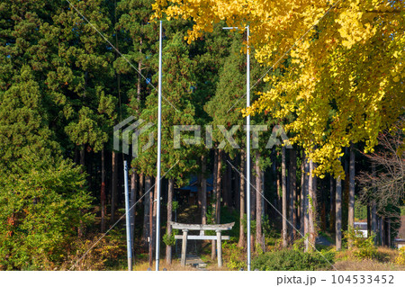 晩秋の南魚沼　鎮守の森風景　秋景色　新潟県南魚沼市　　 104533452