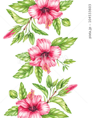 Watercolor background with red hibiscus flowers on a white background 104533603