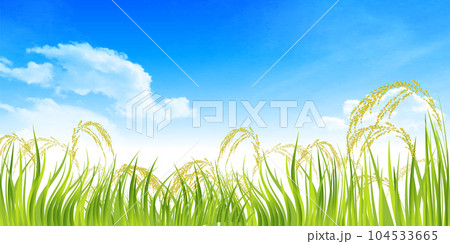 米　稲　秋　風景　背景 104533665