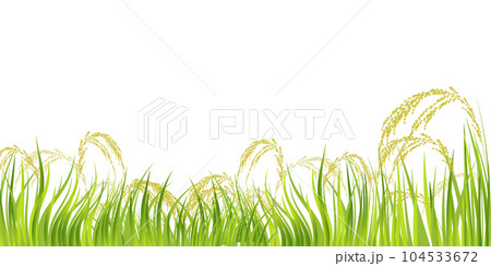 米　稲　秋　風景　背景 104533672