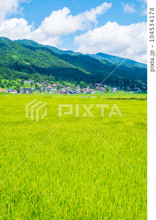 夏の田園風景（8月） 104534178