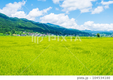 夏の田園風景（8月） 104534180