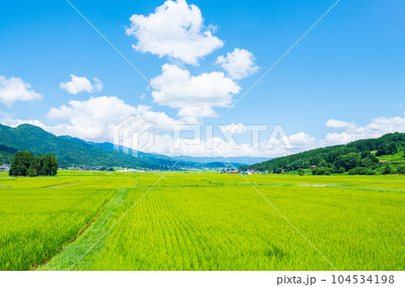 夏の田園風景(8月) 夏の田園風景(8月) 104534198