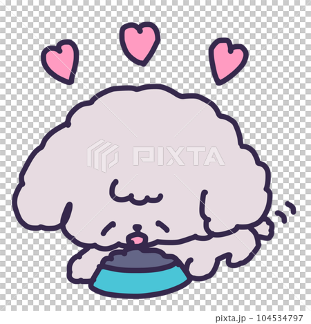 Illustration of a cute toy poodle puppy eating pet food 104534797