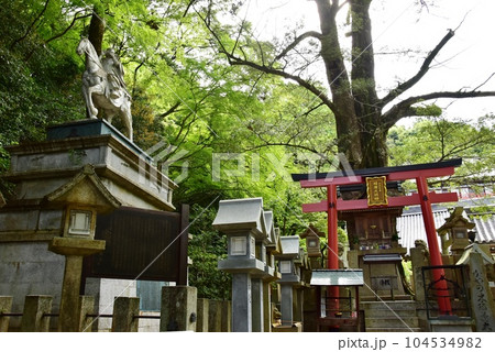 奈良県 信貴山朝護孫子寺の参道のかやの木稲荷と聖徳太子像と新緑 奈良県 信貴山朝護孫子寺の参道のかやの木稲荷と聖徳太子像と新緑 104534982
