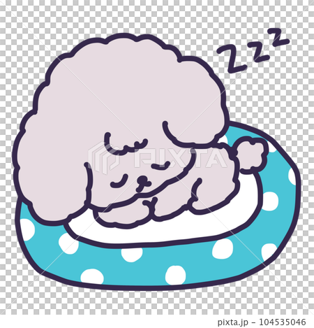Illustration of a Cute Toy Poodle Puppy Sleeping in a Dog Bed 104535046