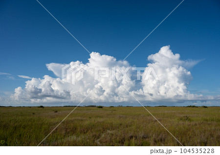 Bright white cumulus clouds over sawgrass prairie in Everglades National Park. Bright white cumulus clouds over sawgrass prairie in Everglades National Park. 104535228