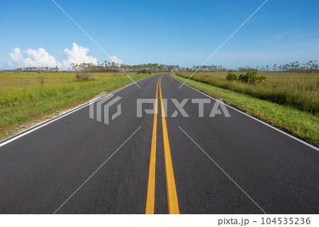 Everglades National Park road receding into distance under sunny summer sky. 104535236