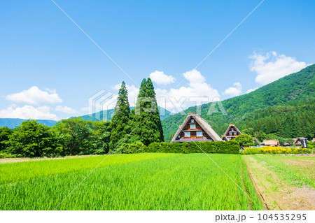 夏の白川郷 104535295