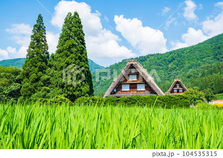 夏の白川郷 夏の白川郷 104535315