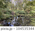 森の中の池 104535344