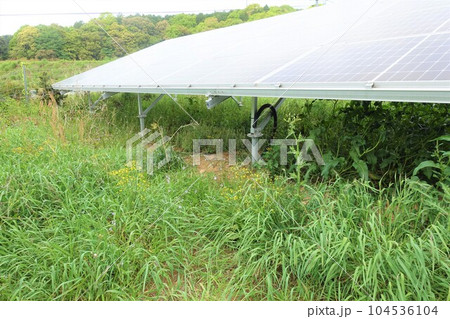 雑草に囲まれた太陽光発電所 雑草に囲まれた太陽光発電所 104536104