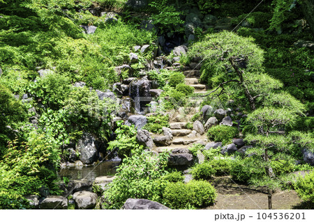 東京都 殿ヶ谷戸庭園(とのがやとていえん) 都立庭園 東京都 殿ヶ谷戸庭園(とのがやとていえん) 都立庭園 104536201