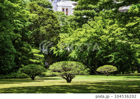 東京都 殿ヶ谷戸庭園(とのがやとていえん) 都立庭園 東京都 殿ヶ谷戸庭園(とのがやとていえん) 都立庭園 104536202