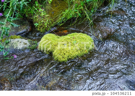 きれいなハート型の形をした苔むした岩 きれいなハート型の形をした苔むした岩 104536211