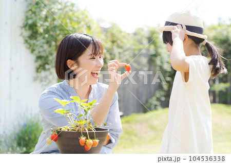 イチゴを育てる親子のポートレート 104536338
