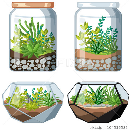 Set of terrarium plant in jar 104536582