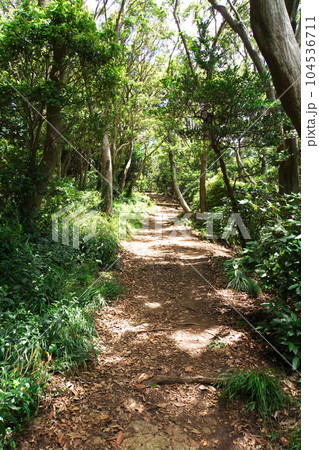 高麗山・浅間山ハイキングコース 104536711