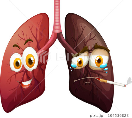 Human lungs with face expression Human lungs with face expression 104536828