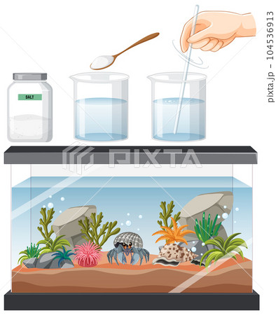 Aquarium tank with fishes and decorations on white background 104536913