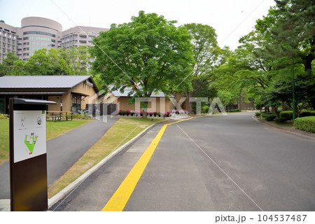 《愛知県》名古屋市鶴舞公園 ツルマガーデン 《愛知県》名古屋市鶴舞公園 ツルマガーデン 104537487