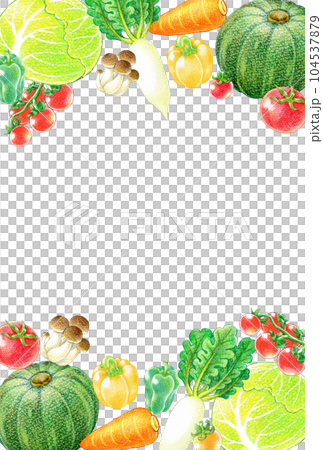 各種蔬菜的框架插圖，明信片尺寸 104537879