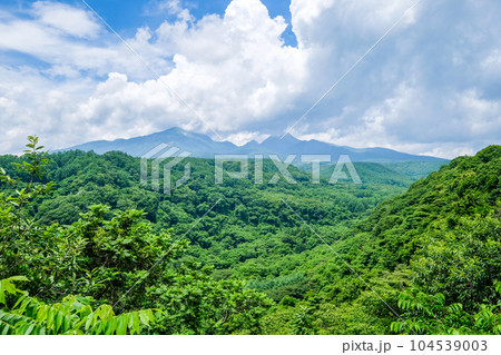 山梨県北杜市八ヶ岳高原大橋の景色 104539003