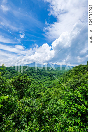 山梨県北杜市八ヶ岳高原大橋の景色 山梨県北杜市八ヶ岳高原大橋の景色 104539004