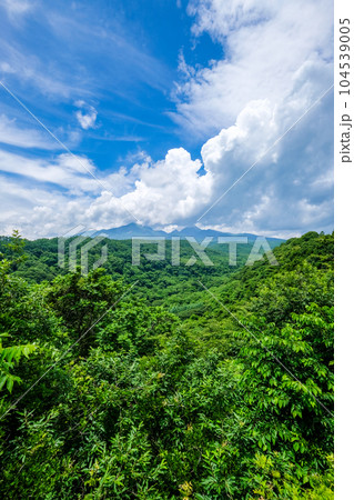 山梨県北杜市八ヶ岳高原大橋の景色 山梨県北杜市八ヶ岳高原大橋の景色 104539005