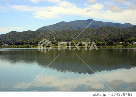 京都北嵯峨広沢池-3 104539462