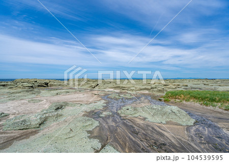 千畳敷海岸 千畳敷海岸 104539595