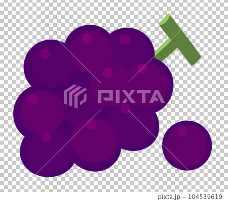 Simple and cute grape illustration 104539619