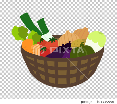 裝滿新鮮採摘（收穫）蔬菜的籃子的插圖 104539996