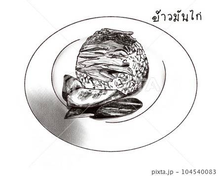 タイ料理 カオマンガイ タイ料理 カオマンガイ 104540083