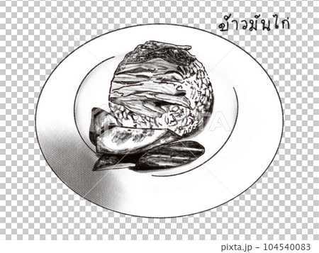 タイ料理 カオマンガイ タイ料理 カオマンガイ 104540083